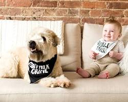 dog and a baby wearing matching bandanasの画像