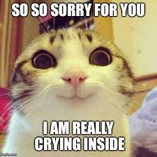 Smiling Cat Meme Imgflip
