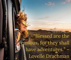 Blessed are the curious for they shall have adventures. Facebook