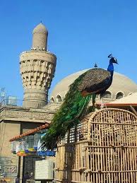 iraq baghdad al gahzel market a very old market for buying and selling pet animals and birds activates every friday baghdad iraq iraq baghdad