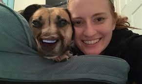 Funny Shit Faceapp Smile Filter On My Dog Did Not Disappoint