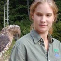 The Truth and Legend of Lily Martindale by Mary Sanders Shartle