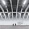 Pier Luigi Nervi. L'architettura molecolare - professione Architetto
