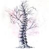 The spine is a column of vertebrae in the back part of the torso (upper body). 1