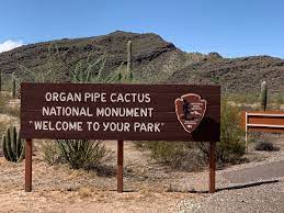 Organ pipe cactus national monument is a u.s. Border Wall Protest Planned For Saturday At Arizona S Organ Pipe Cactus National Monument Kxan Austin