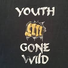 It's 1 of skid rows best songs b4 they got rid of sabation bach and i stopped listening 2 skid row. Vintage Skid Row Youth Gone Wild T Shirt Jointcustodydc