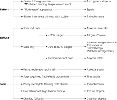 common hair loss disorders american family physician