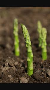 View the profiles of people named germania franta. Contracte Germania Franta Agricultura Home Facebook