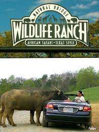 Natural Bridge Wildlife Ranch An African Safari Texas Style Near San Antonio Texas African Safari Safari Texas Style