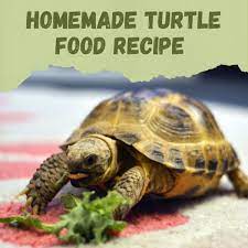 My favorite pellets are the zoo med natural aquatic turtle food maintenance formula. Homemade Aquatic Turtle Food Recipe Pethelpful