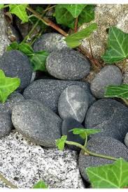 Palisaden sichtschutz garten beton aus stein. Die 25 Besten Ideen Zu Flachkies Anthrazit Grau Tolle Garten Diy Ideen Mit Grauen Steinen In 2021 Vorgarten Gartenkies Garten