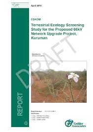 Image result for Chascanum adenostachyum