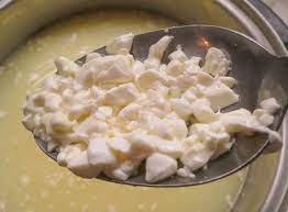 Cottage Cheese Recipe Dry Curd Cottage Cheese Recipes Dry Cottage Cheese Cheese Recipes