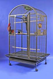 Extra Large Bird Cage For Sale Cheap Mauna Kea Mansion Extra Large Bird Cage Two Top Styles Large Bird Cages Bird Cage Small Bird Cage