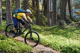 Our detailed mtb reviews will help you find the right bike. Mountainbike Typen Im Vergleich Touren Race Hardtails Und Weitere