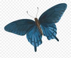 Butterfly and white flowers covered in dew. Butterfly Animation Png 2 Image Butterflies Flying Gif Png Free Transparent Png Images Pngaaa Com