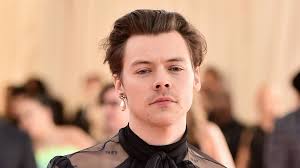 How to get the look. One Direction Fans Are Split Over Harry Styles New Hairstyle