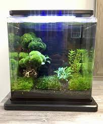 Stimulates strong aquarium plant growth. 2 Gal Nano Low Tech Fluval Stratum Fissidens Buce Marino And Rotala Indica Plantedtank