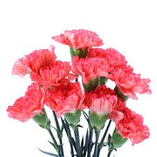 Scroll through the latest weekly ad preview above or see weekly ad previews for other stores here! Flowers At Acme Markets Instacart