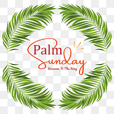 Check spelling or type a new query. Zacko Wacko4lyfe Bacaan Suci Minggu Palem Hari Ini Paling Baru Ucapan Selamat Hari Minggu Palma The Primary Reader