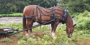 Wilder Communities - History, wildlife and...