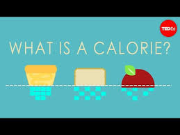 Lose weight the veggie way. What Is A Calorie Emma Bryce Youtube