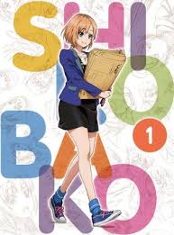 These videos were at a time distributed as vhs tapes enclosed in white boxes and are still referred to as white boxes (thus the meaning of shirobako). Shirobako 2014