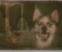 Phoebe Commissions Open On Twitter Smiledog Jpg Reheatedpasta Creepypasta Smile dog is one of the very few creepypasta images that really gets to me.so when i see it, i scream loudly. phoebe commissions open on twitter