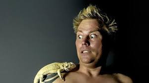 Mitos Kejatuhan Cicak Di Tangan Kiri Pertanda Buruk Benarkah Artinya Kesialan Hingga Rezeki Seret Halaman 2 Tribun Bali