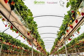 Pin On Fraoulabest C Projects