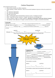 Logical Oxygen Plant Process Flow Chart Low Pressure Liquid