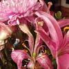 Maybe you would like to learn more about one of these? Top 939 Avas Flowers Reviews Page 5