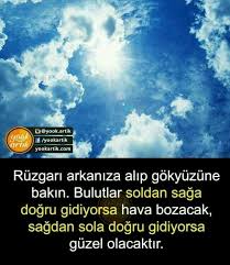 Ecem Ruzg R Bilgi Gizli Bilgi Bilim Doga
