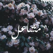 مشاعل كتابة على الورد برنامج الكتابة عالصور