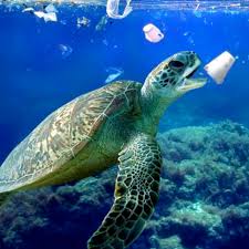 Todos Os Anos Cerca De 8 Milhoes De Toneladas De Lixo Vao Parar Nos Oceanos E Cerca De 90 Disso E Plastic Plastic Pollution Save Planet Earth Water Pollution