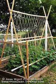 How to use string or wire to trellis cucumbers, tomatoes or just about any type of plant that needs a trellis. 15 Easy Diy Cucumber Trellis Ideas A Piece Of Rainbow