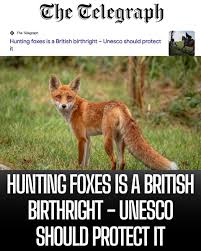 This is sheer desperation from The Telegraph. They know the sick game of fox hunting is coming to an end.