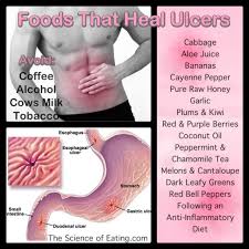 The stomach is a muscular sac located in the upper middle of your abdomen, just below your ribs. 11 Stomach Ulcers Symptoms Ideas Stomach Ulcers Ulcers Stomach Ulcers Symptoms