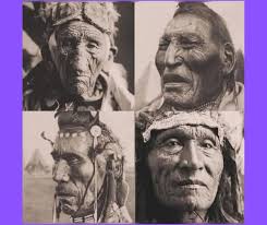 Are Native American tribes similar to US states?