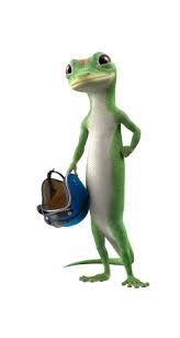 See more ideas about geico lizard, geico, gecko. Biketoberfest Official Sponsors Geico Daytona Beach Fl