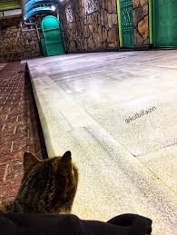 Biri Adli Kullanicinin Koyum Panosundaki Pin Inanc Sozleri Mekke Resimli Alintilar