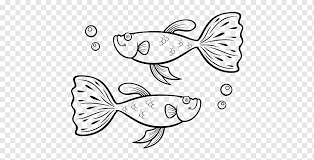 Mar 02, 2020 · 12. Ikan Pertempuran Siam Guppy Menggambar Buku Mewarnai Ikan Png Pngwing