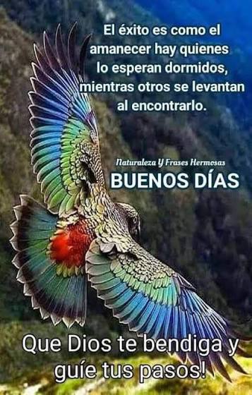 Muy buenos días, que la adversidad no doble nuestra fuerza de voluntad para salir adelante, con la bendición de Dios nada es imposible !!!