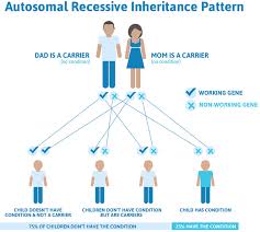 Canavan Disease Causes Symptoms Diagnosis Prognosis And Treatment