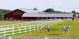 Running up to the fence and petting the horse along its muzzle how are you girl? 10 Resources On Creating A Horse Facility From Thehorse Com The Horse