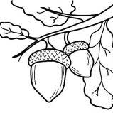 We hope you enjoy our online coloring books! Acorn With Oak Leaf Coloring Pages Coloring Sky