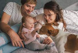 How To Introduce Your Dog To Your Baby Cesar S Way