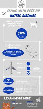 The 12 Best Airlines For Cats Best Airlines For Traveling With Cats Compilation By Fluffy Kitty Best Airlines Flying With Pets Best Hotel Deals