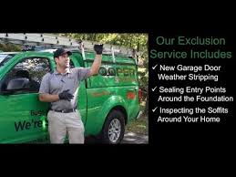 Our general pest control package. Cooper Pest S Rodent Wildlife Exclusion Service Youtube