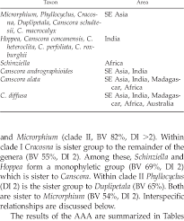 Image result for Schinziella